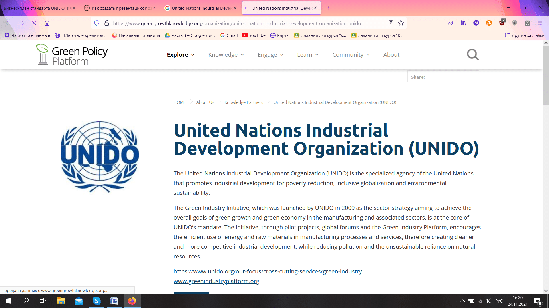 Разработка бизнес-плана по стандартам UNIDO