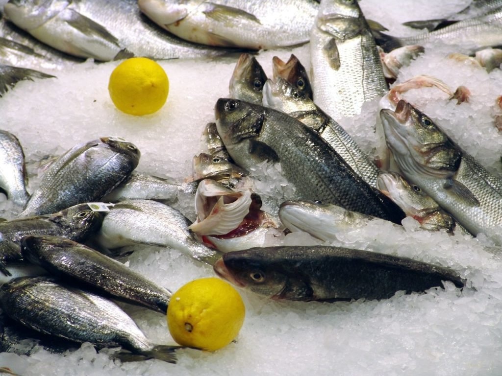Рыбный рынок как бизнес